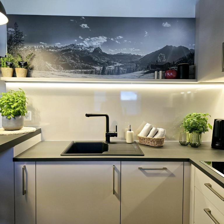 Ferienwohnungen Alpspitzecho - Apartment mit Balkon - 22