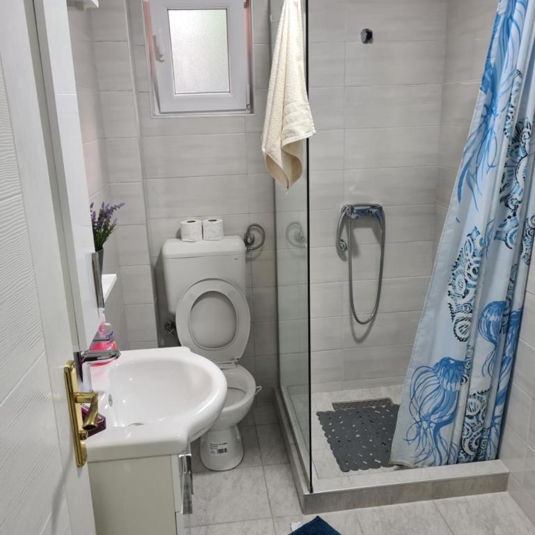 Apartmani Podvisoki - Apartman sa 2 Spavaće Sobe - 12