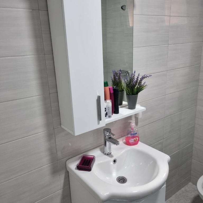 Apartmani Podvisoki - Apartman sa 2 Spavaće Sobe - 13