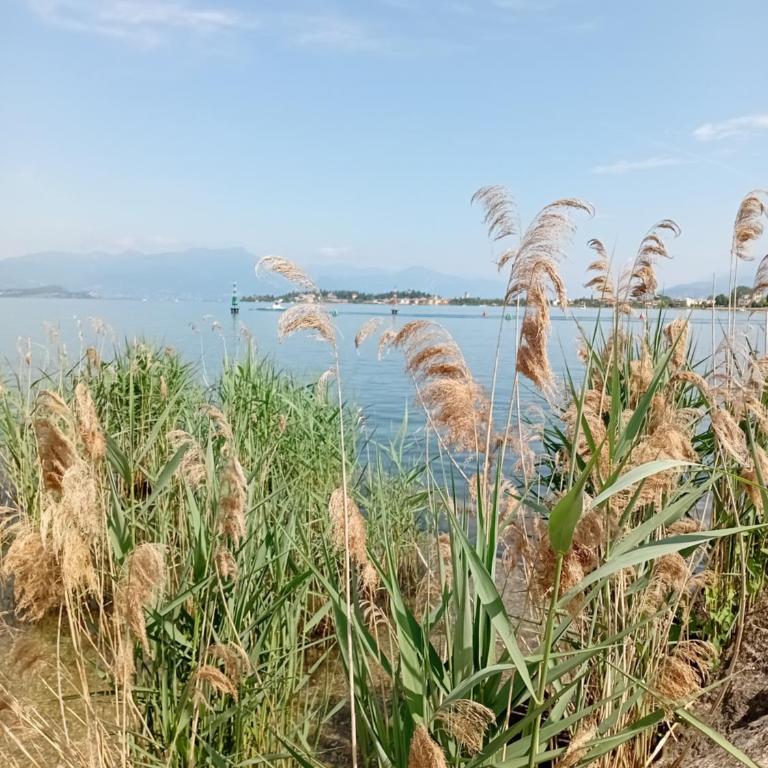 Miragarda Sirmione - Appartamento con 1 Camera da Letto - 30