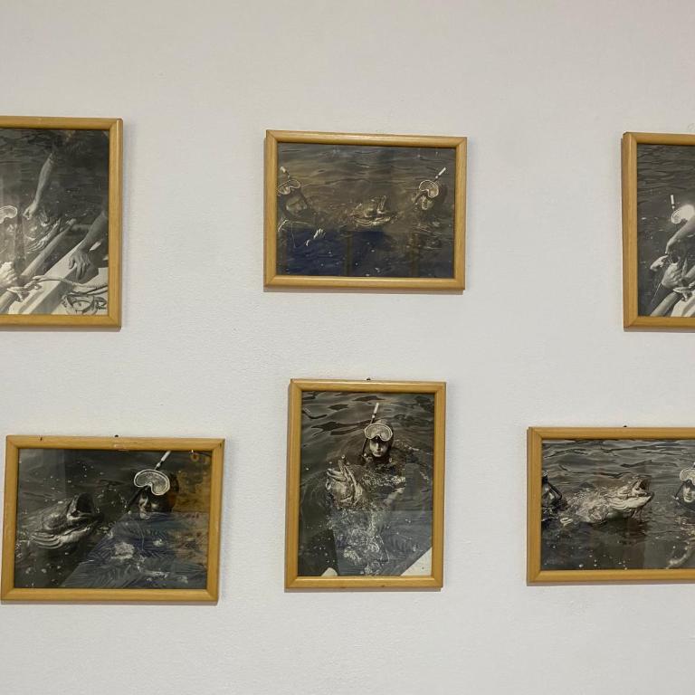 Family Sea View Ulcinj - Apartman sa 2 Spavaće Sobe - 8