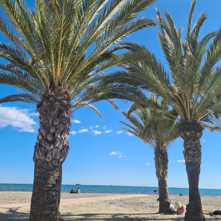 Playamar Apartment Santa Pola centro, con piscina - Apartamento de 2 dormitorios - 52
