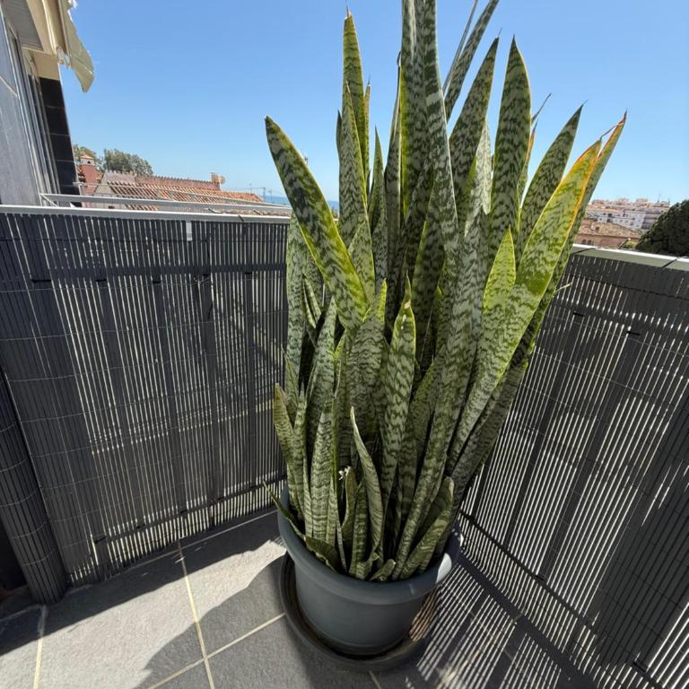 Verde Esmeralda con parking gratis - Casa de 2 dormitorios - 36