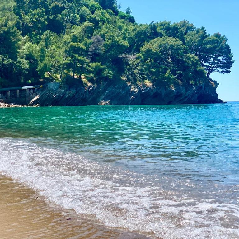 Gold Apartment Petrovac - Two-Bedroom Apartment - 31