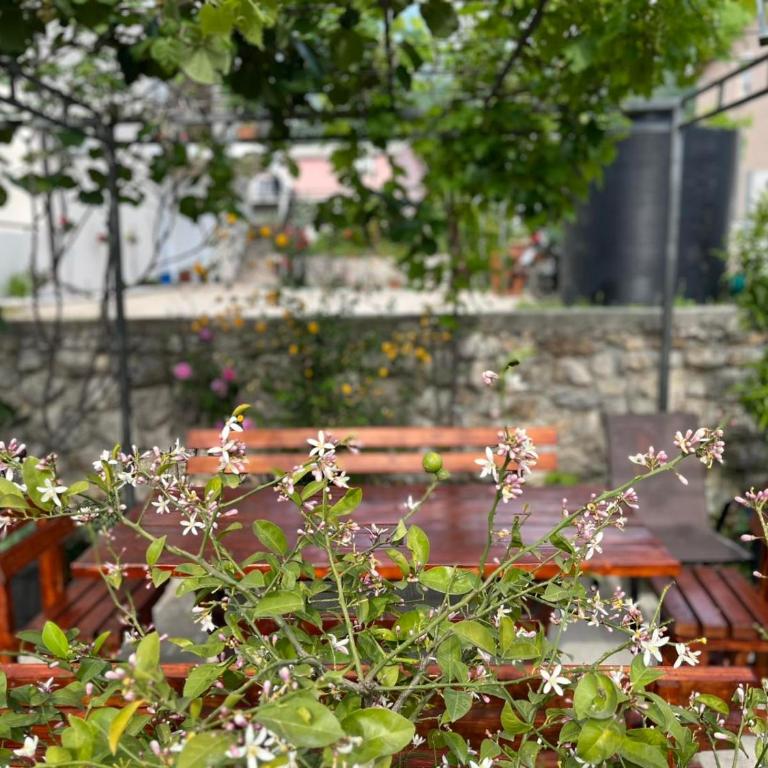 Lutovac Apartmani - One-Bedroom Apartment - 21