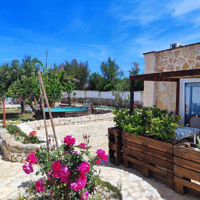La casetta del pescatore - One-Bedroom House - 2