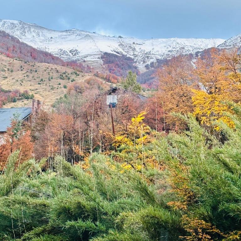 Don Edmundo Cerro Catedral - One-Bedroom Apartment - 25