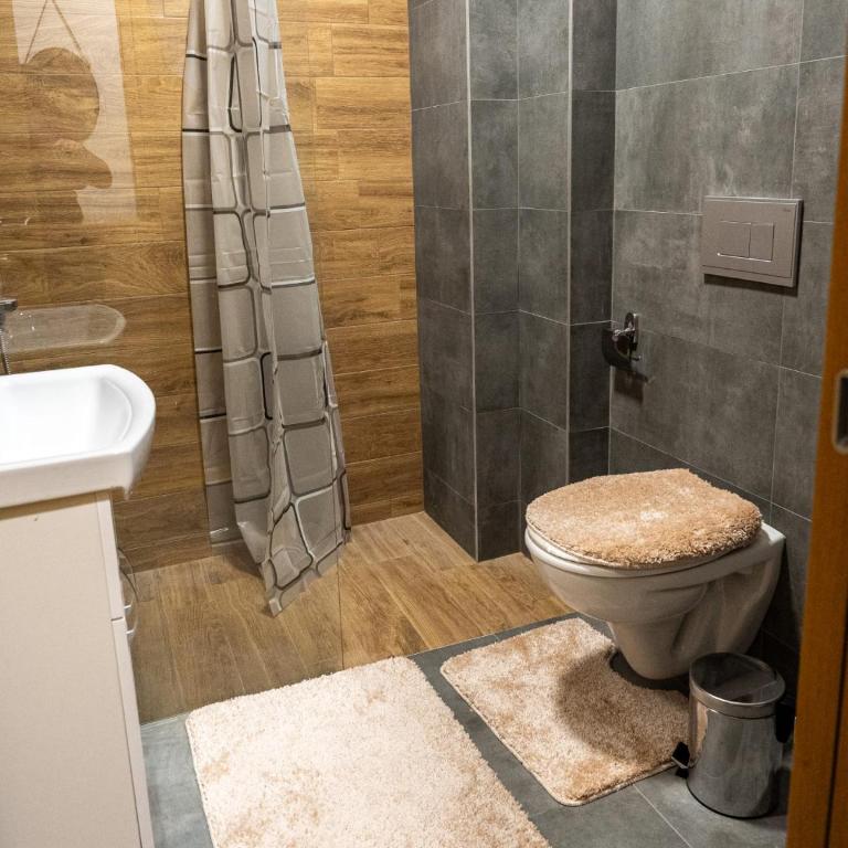 Toplina Doma Sokobanja - Superior One-Bedroom Apartment - 11
