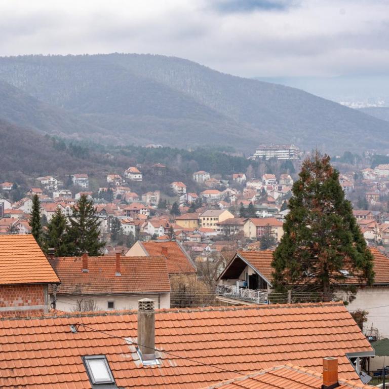 Toplina Doma Sokobanja - Superior One-Bedroom Apartment - 17