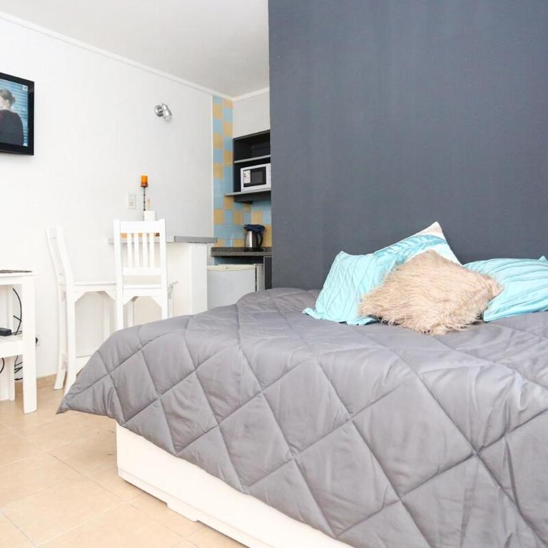 Irigoyen Freyre Monoambiente - Apartamento de 1 dormitorio - 1