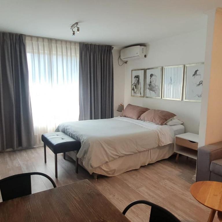 Departamento céntrico en providencia , a una cuadra de metro y muy cercano a costanera center - Apartamento de 1 dormitorio - 1