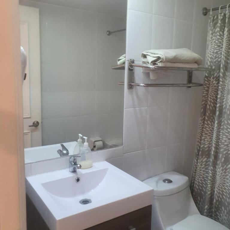 Departamento céntrico en providencia , a una cuadra de metro y muy cercano a costanera center - Apartamento de 1 dormitorio - 10