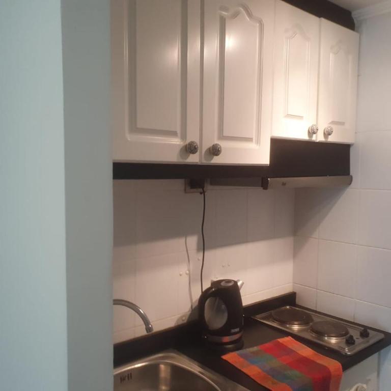 Departamento céntrico en providencia , a una cuadra de metro y muy cercano a costanera center - Apartamento de 1 dormitorio - 11