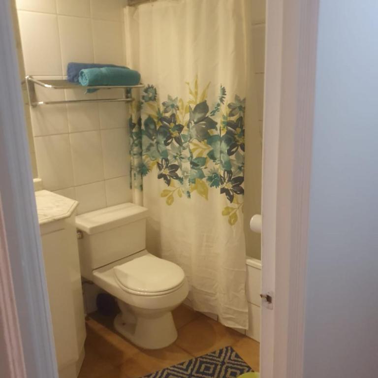 Céntrico departamento a una cuadra de metro y cerca de costanera center, - Apartamento de 1 dormitorio - 11
