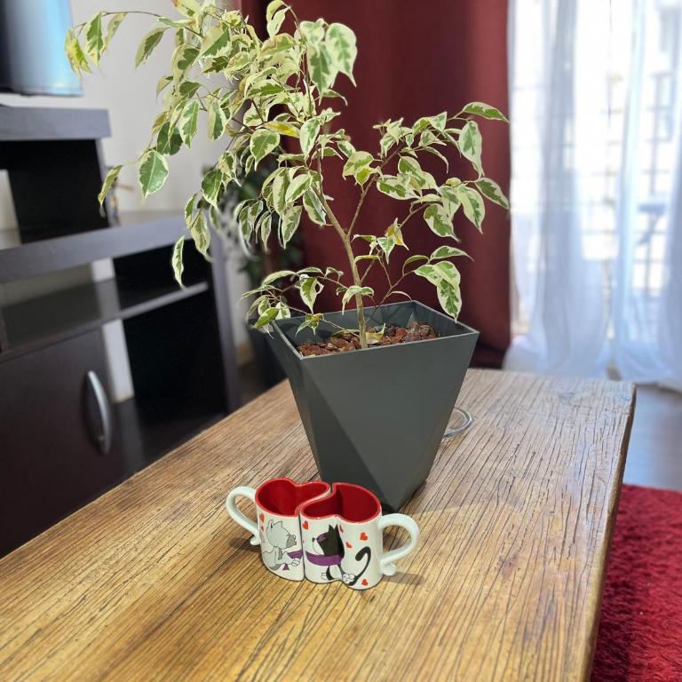 STAYOK CURICO 401 RAUQUEn - Apartamento de 2 dormitorios - 15