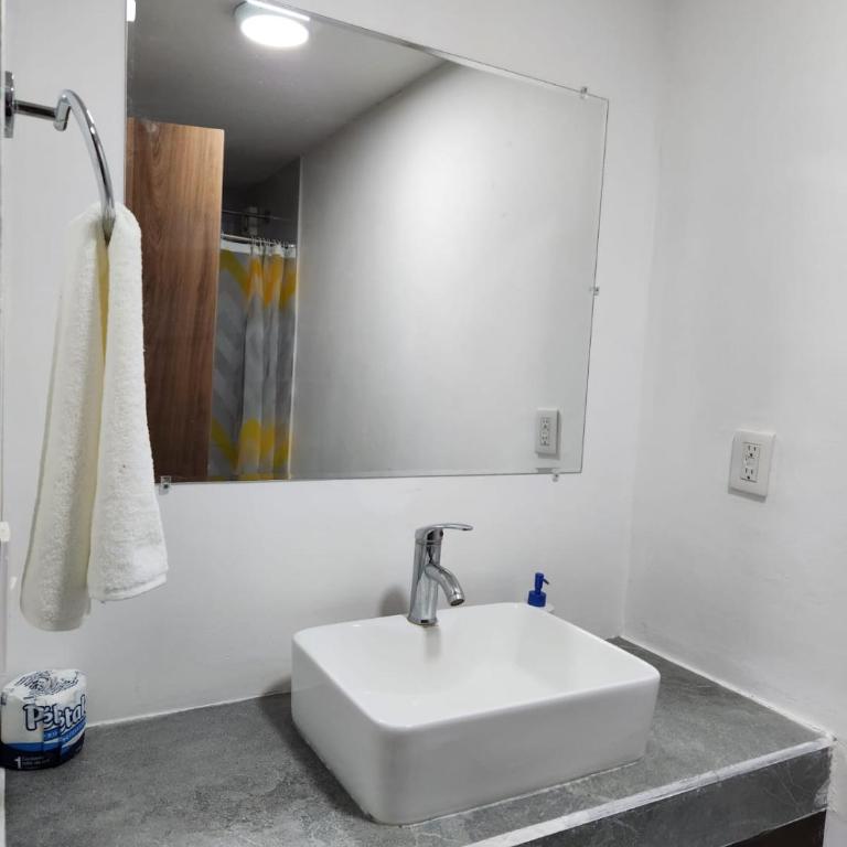 Nuevo depa con alberca y gym - Three-Bedroom Apartment - 12