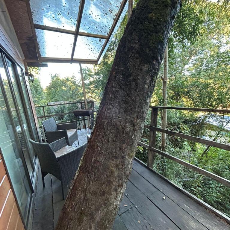 Complejo turístico El Nativo - Chalet de 1 dormitorio - 8