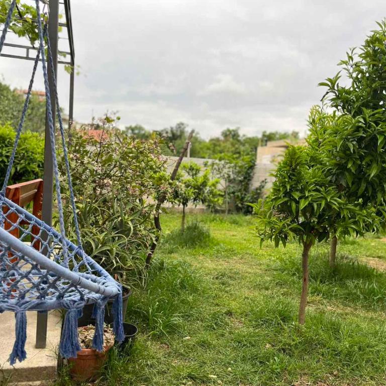 Lutovac Apartmani - Apartman sa 1 Spavaćom Sobom - 20