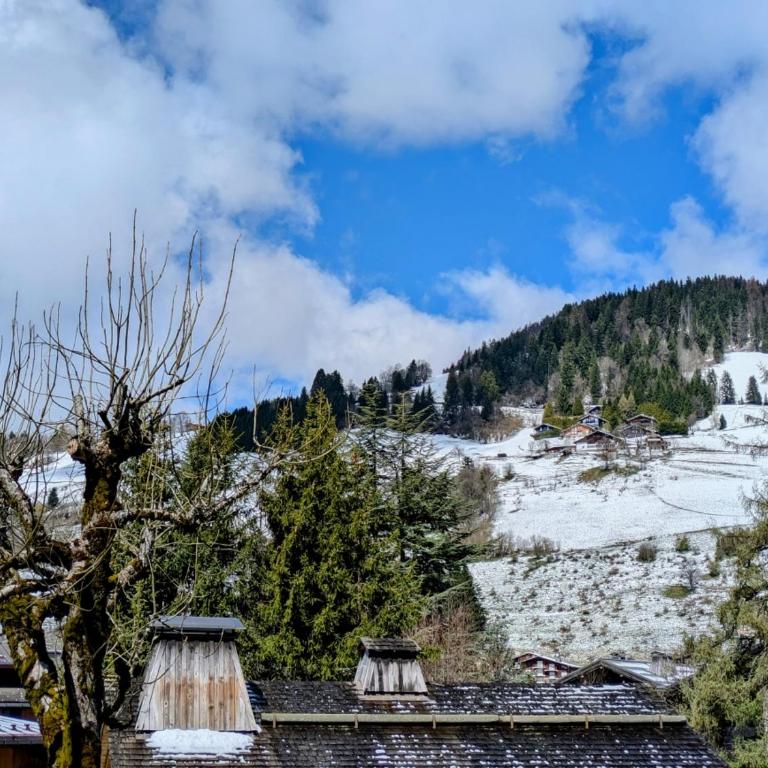 Appartement Nuage, Luxe, centre village Megève - Appartamento - 27