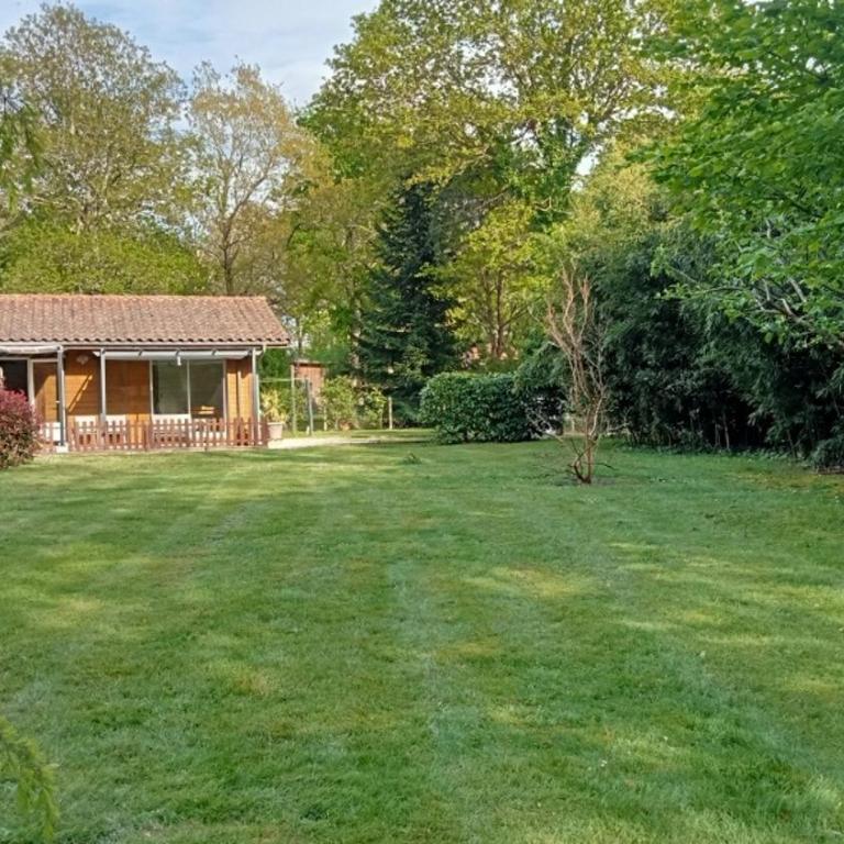 Maison chalet Soustons - Chalet 1 Chambre - 1
