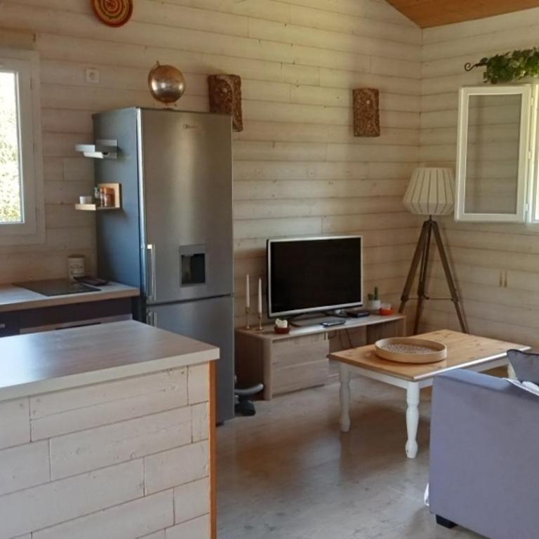 Maison chalet Soustons - Chalet 1 Chambre - 6