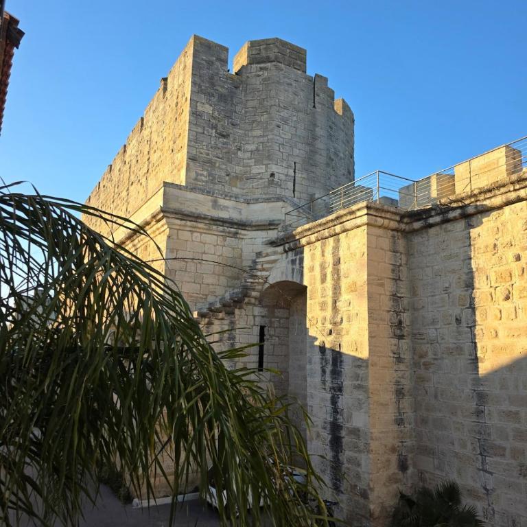 Maison des Remparts Intra-Muros spacieuse Patio avec Bassin Wifi Parking Gratuit - Maison 5 Chambres - 31
