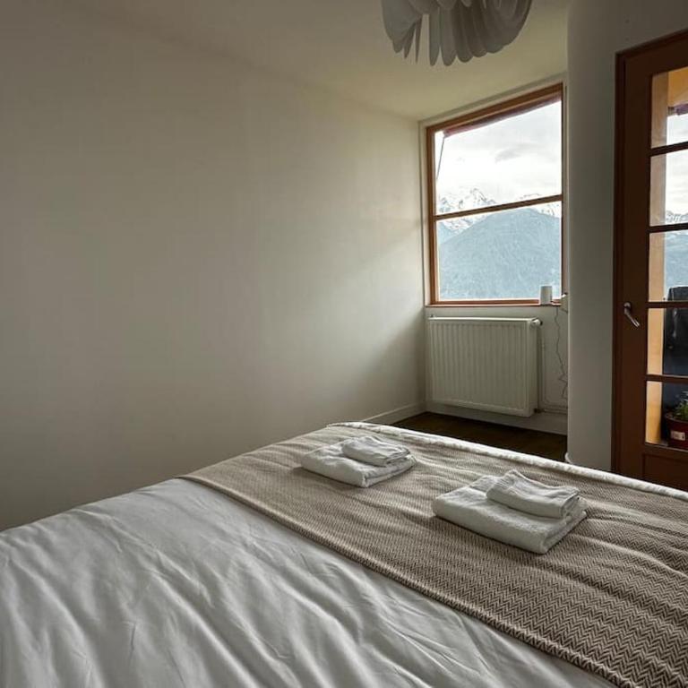 Mont Blanc view on a 40m2 Terrace - Appartement 1 Chambre - 13