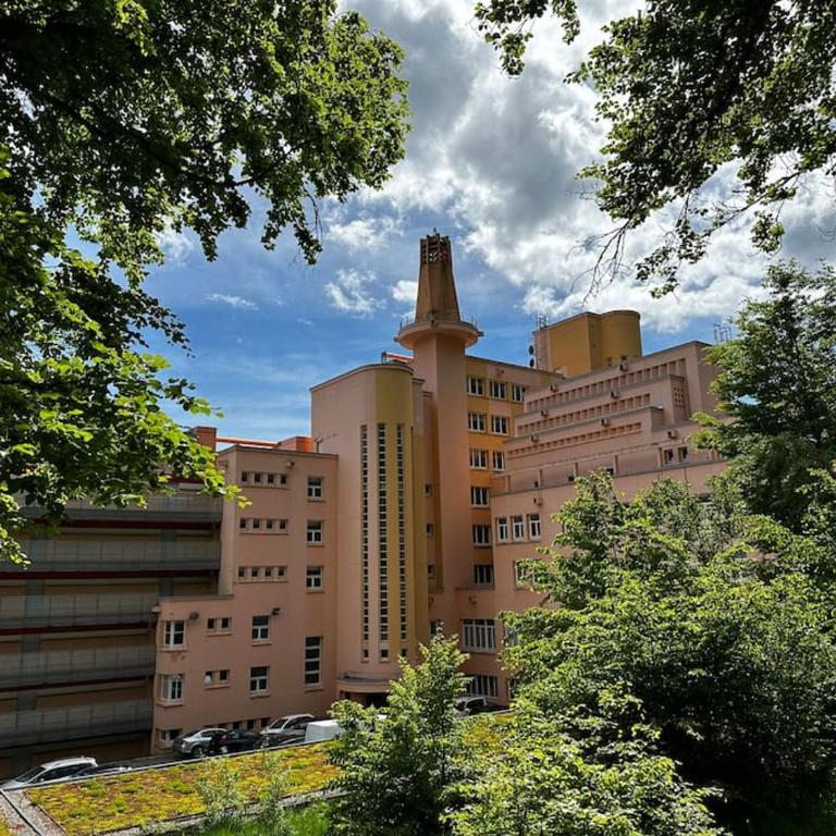Mont Blanc view on a 40m2 Terrace - Appartement 1 Chambre - 19