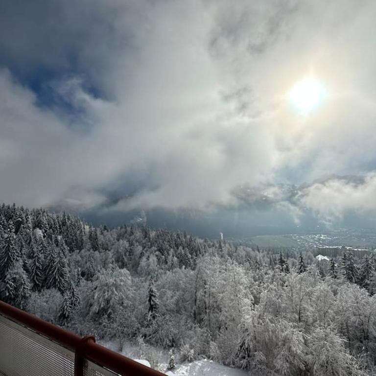Mont Blanc view on a 40m2 Terrace - Appartement 1 Chambre - 27