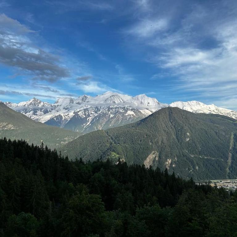 Mont Blanc view on a 40m2 Terrace - Appartement 1 Chambre - 28