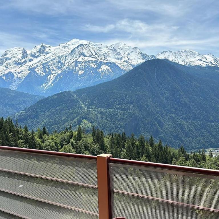 Mont Blanc view on a 40m2 Terrace - Appartement 1 Chambre - 41