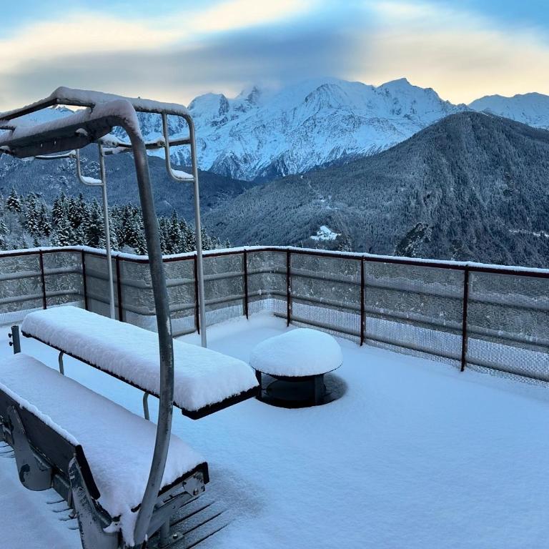 Mont Blanc view on a 40m2 Terrace - Appartement 1 Chambre - 43