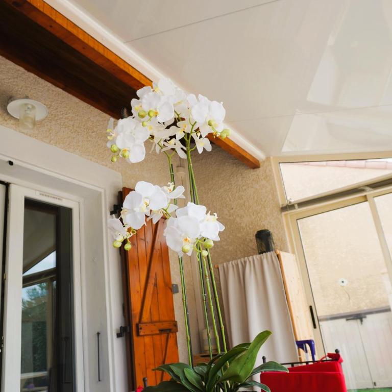 La maison du Lagon Clim Parking pour 5 avec accès plage - Maison 2 Chambres - 6