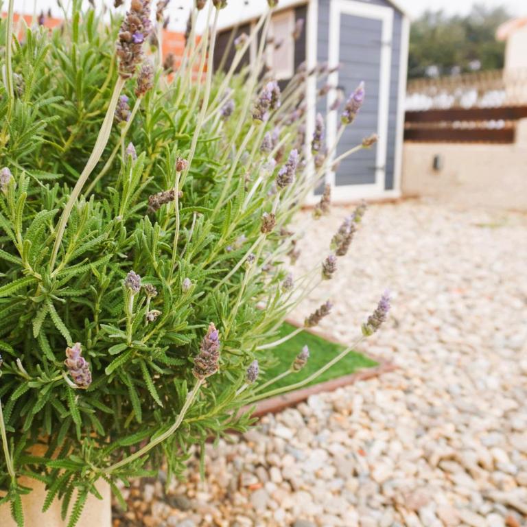 La maison du Lagon Clim Parking pour 5 avec accès plage - Maison 2 Chambres - 34