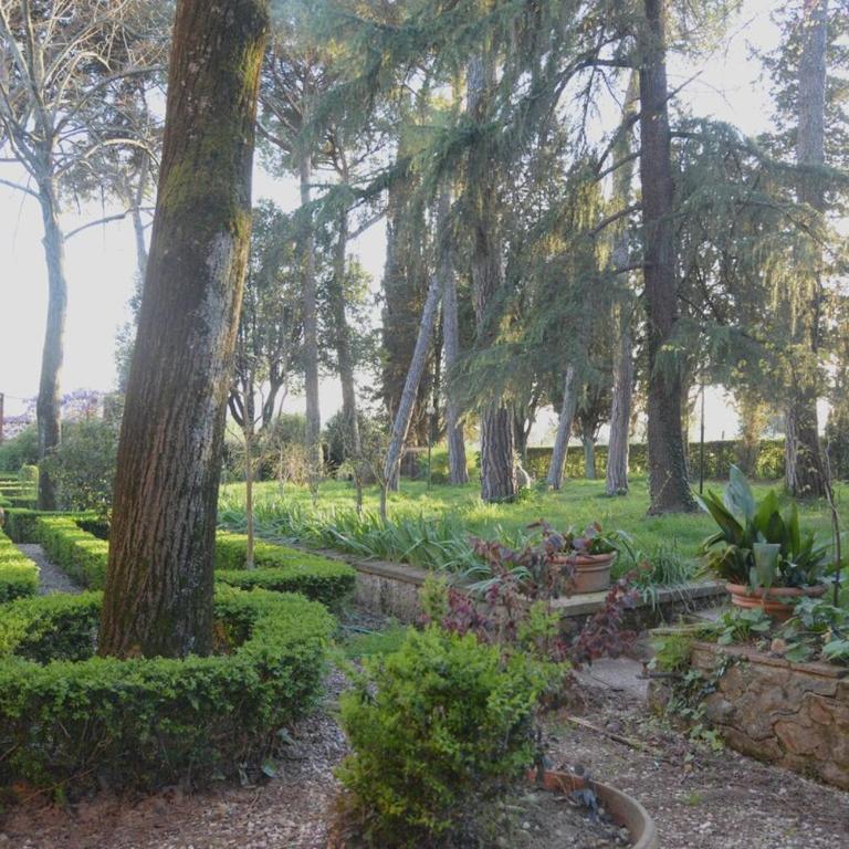 Dimora degli ulivi - Villa con 1 Camera da Letto - 36