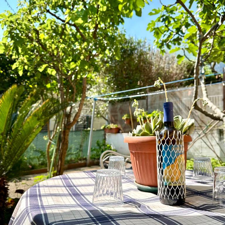 Casa Rosa - Three-Bedroom House - 24
