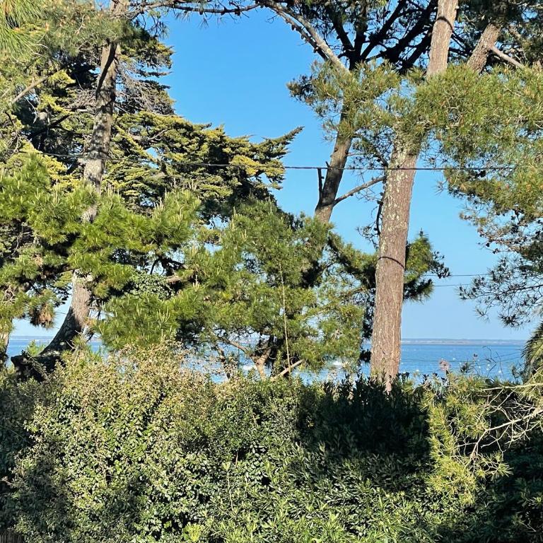 Magnifique maison à 20 m de la mer vue bassin - Villa - 33