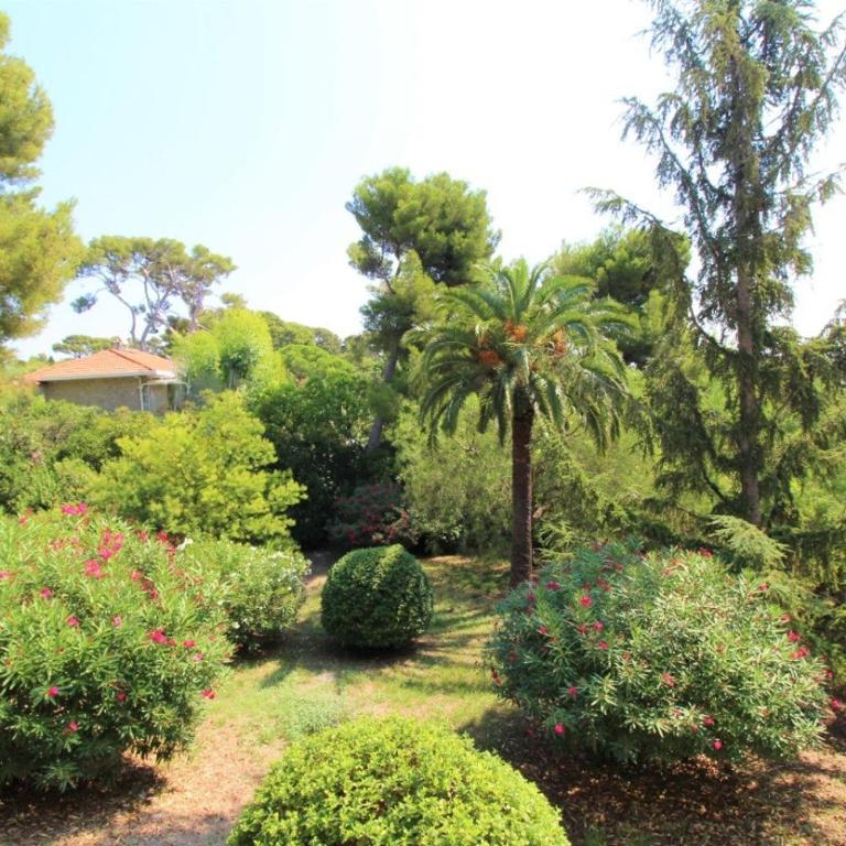 La Cigale Sanaryenne et son Jardin Méditerranéen - Apartment mit 2 Schlafzimmern - 20