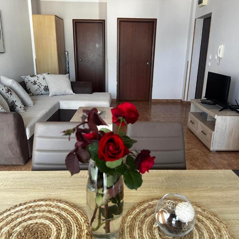 Apartmani Ilic - Apartment with Sea View - 6