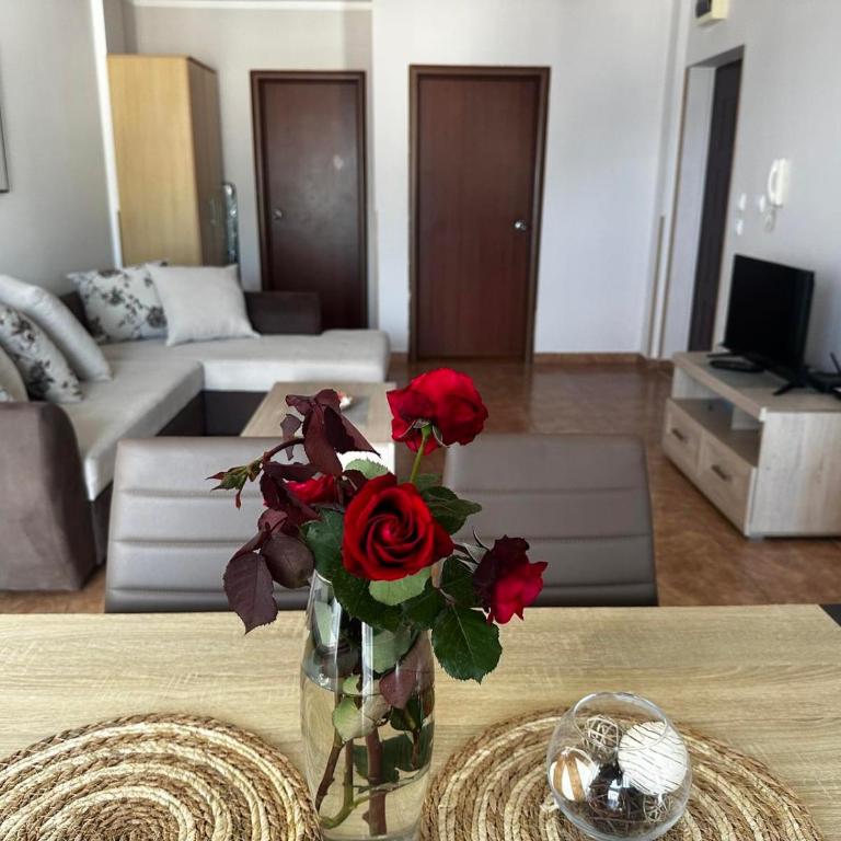 Apartmani Ilic - Apartment with Sea View - 15