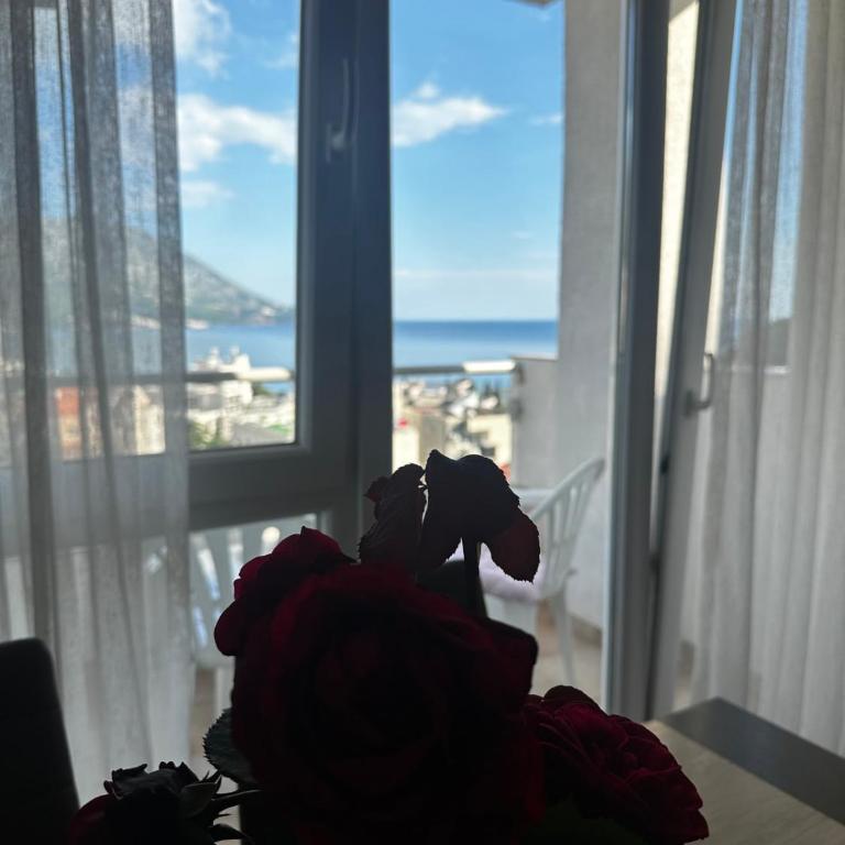 Apartmani Ilic - Apartment with Sea View - 14
