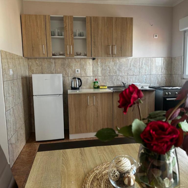 Apartmani Ilic - Apartment with Sea View - 13