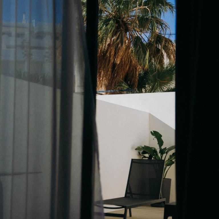 HOTEL ALOVE - Suite Junior con terraza - 5