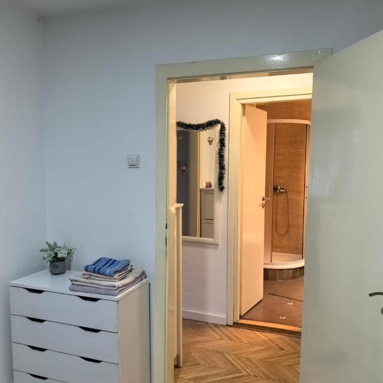 Belgrade Cozy Apartment - City center - Apartman sa 1 Spavaćom Sobom - 11