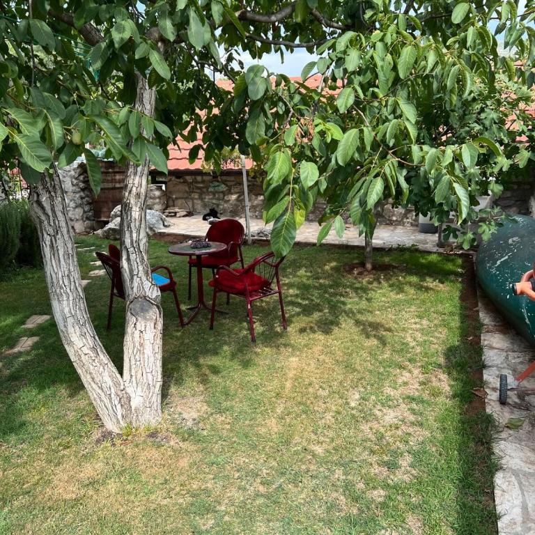 Stone house with pool - Vila sa Sopstvenim Bazenom - 30