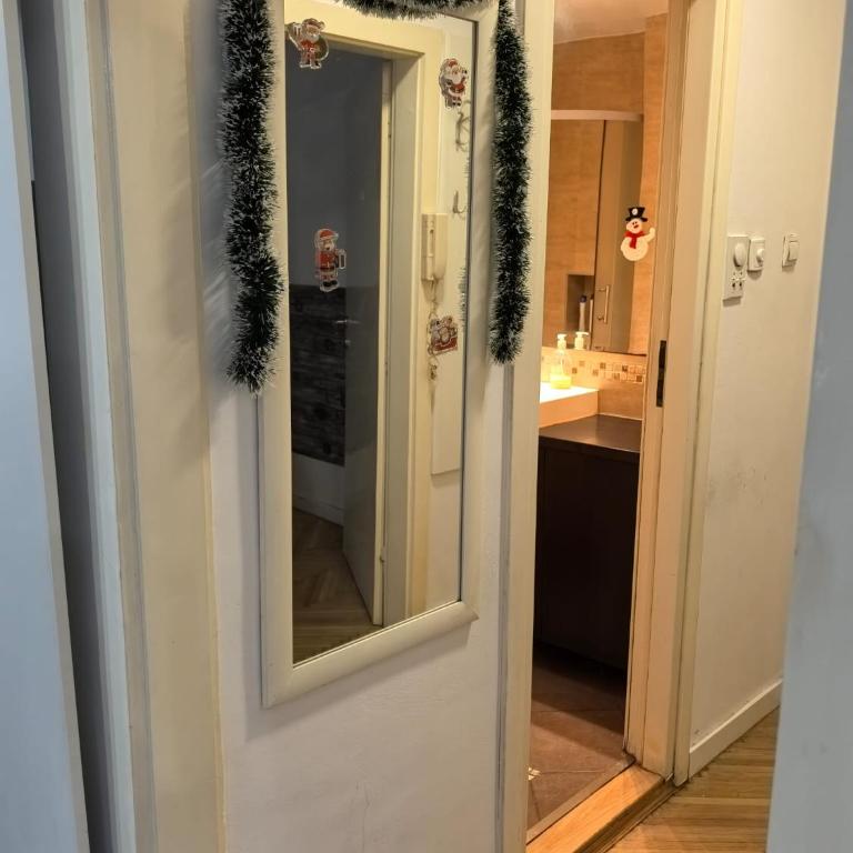 Belgrade Cozy Apartment - City center - Apartman sa 1 Spavaćom Sobom - 7