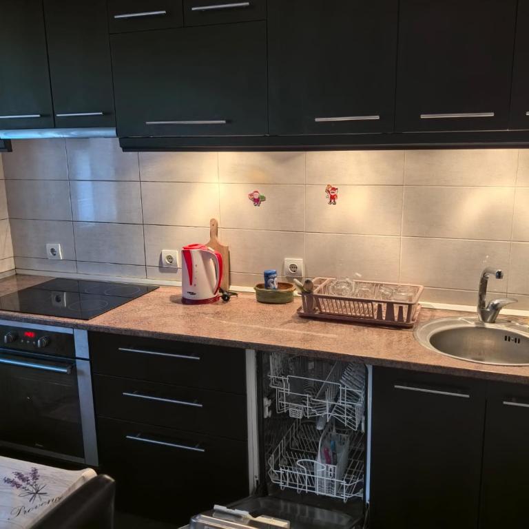 Belgrade Cozy Apartment - City center - Apartman sa 1 Spavaćom Sobom - 4