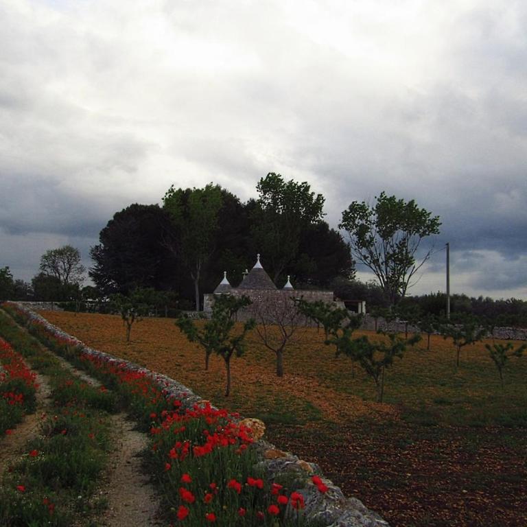 Trullo Dei Nonni - Casa con 2 Camere da Letto - 4