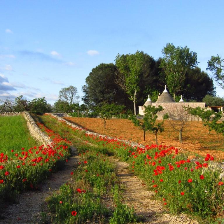 Trullo Dei Nonni - Casa con 2 Camere da Letto - 7