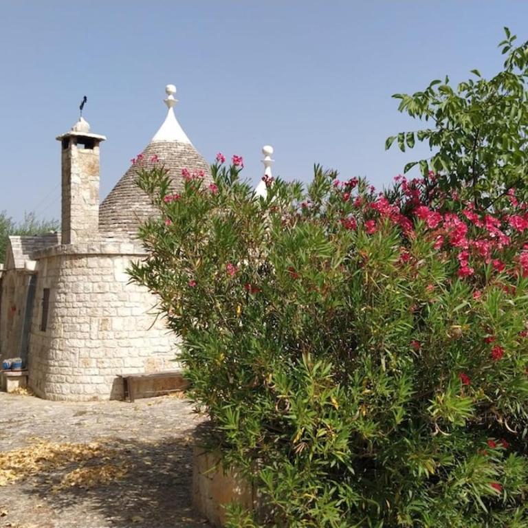 Trullo Dei Nonni - Casa con 2 Camere da Letto - 21